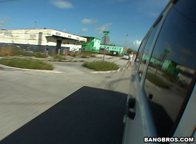 Nicole bangbus Bang USA bangbros XXX