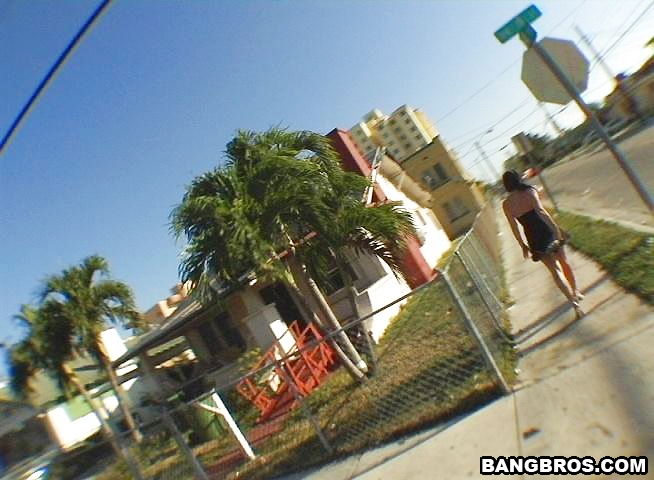 Danika bangbus Bang USA bangbros XXX