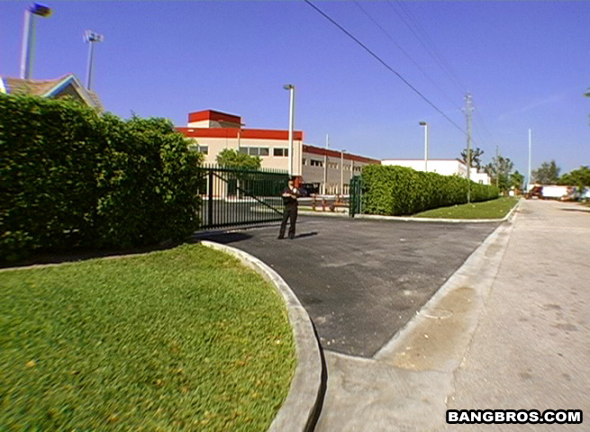 Security My Ass bangbus Bang USA bangbros XXX
