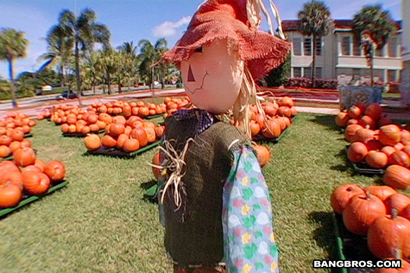 A taste of Jade's Pumpkin Tits bangbus Bang USA bangbros XXX