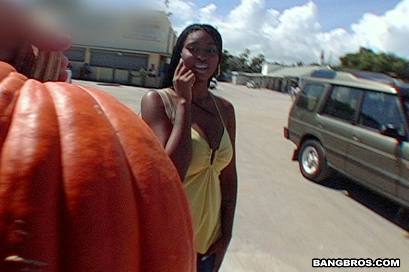 A taste of Jade's Pumpkin Tits bangbus Bang USA bangbros XXX