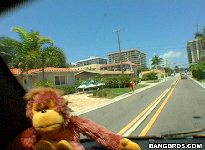The lost Episode bangbus Bang USA bangbros XXX