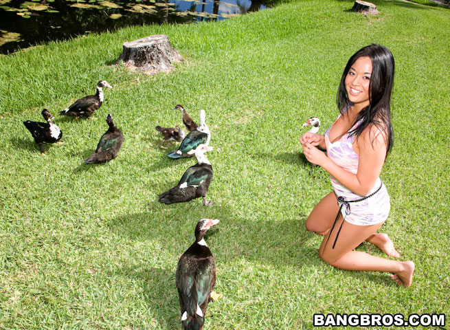 Asian Pie bigtitcreampie Bang USA bangbros XXX