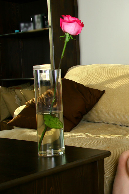 Nubiles Sheri Greene