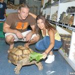 8thstreetlatinas.com Turtle Tush photo #1