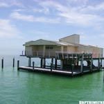 captainstabbin.com Sea Serpents photo #1