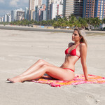 mikeinbrazil.com Beach Wonder photo #0