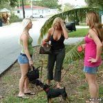 welivetogether.com Neighborhood Watch photo #0
